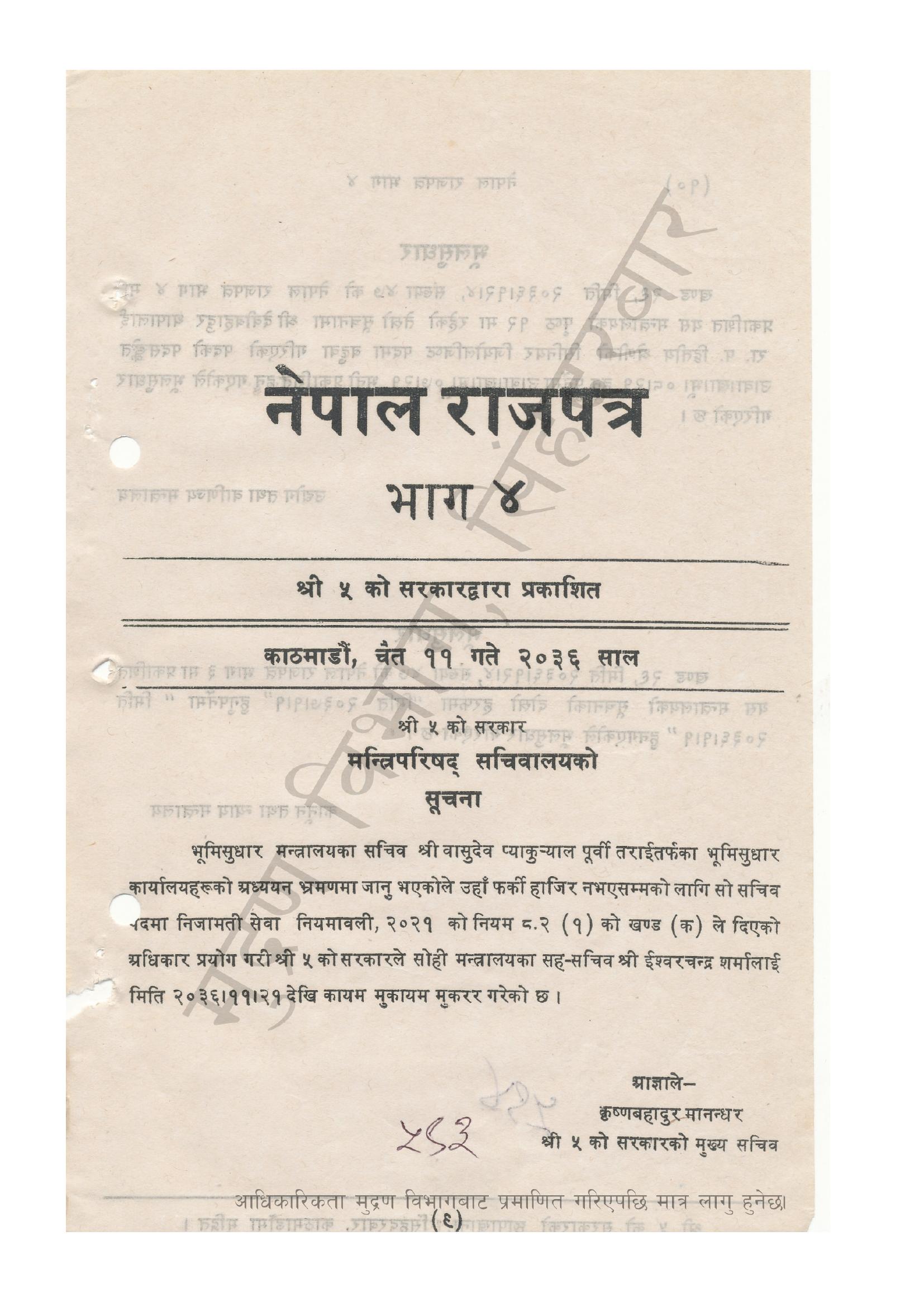 document-thumbnail